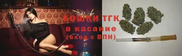 твердый Аркадак