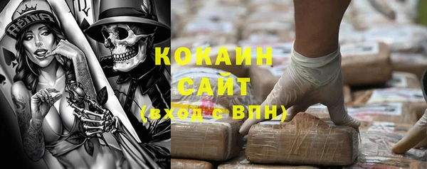 твердый Аркадак