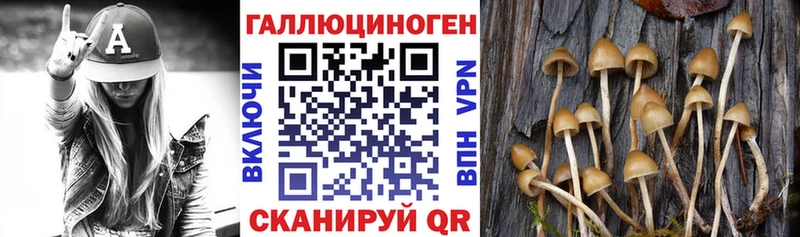 закладка Урай Галлюциногенные грибы мухоморы